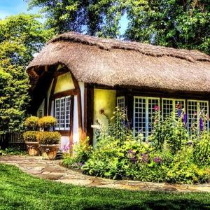 Cottage/chalet/holiday home