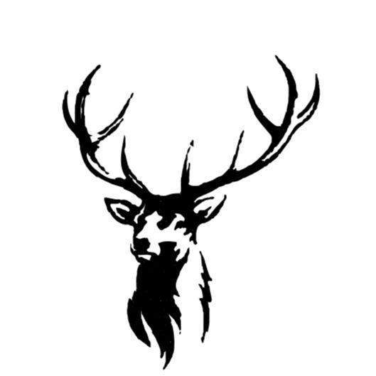 Stag Coffee and Kitchen - Canterbury