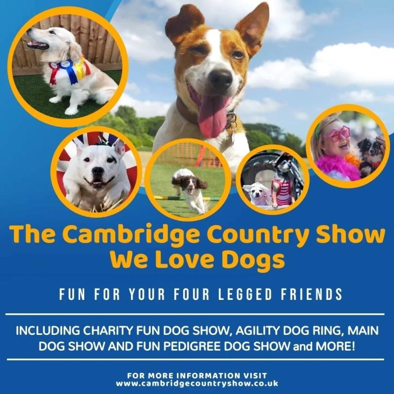 The Cambridge We love Dogs