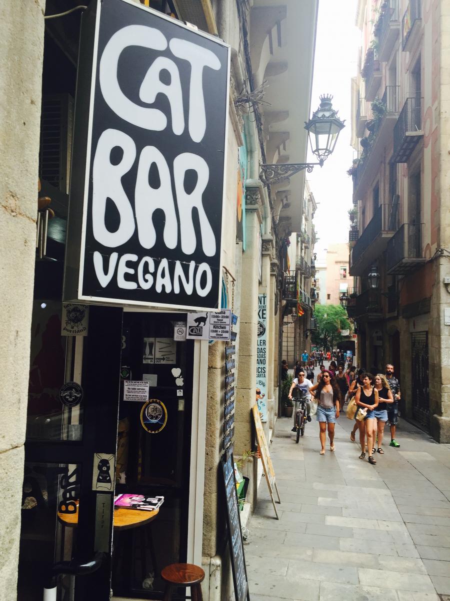 CatBar