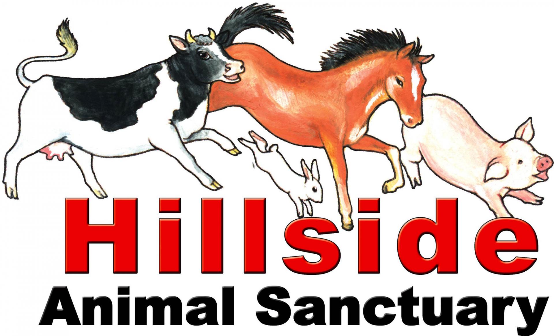 Hillside Animal Sanctuary