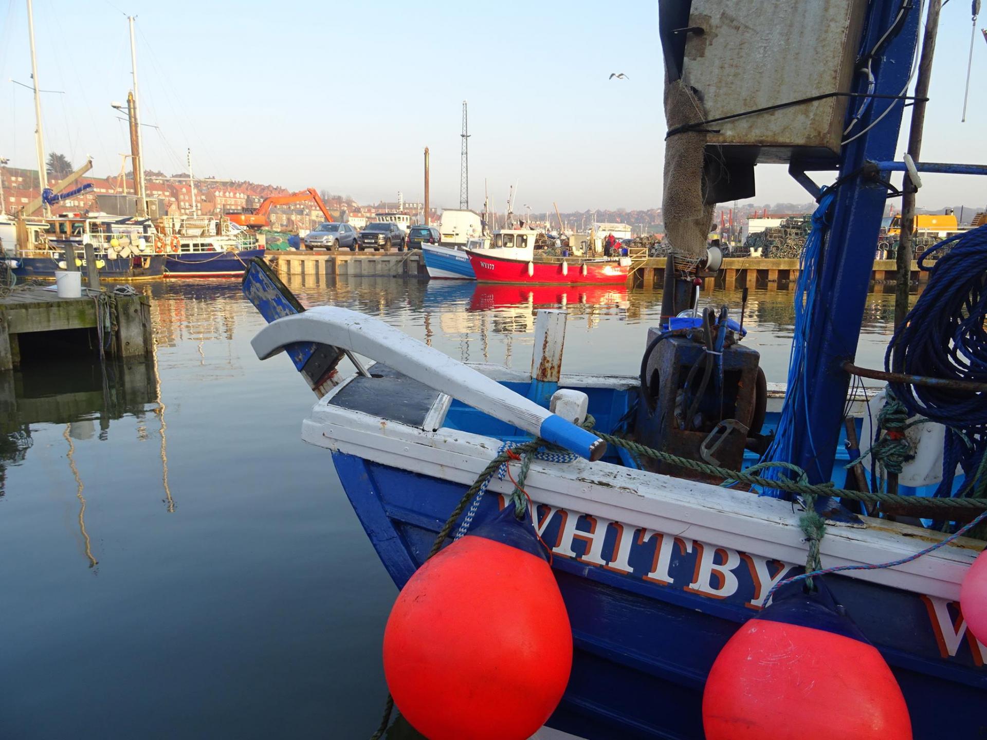 Beckett’s Coffee Shop My Vegan Town