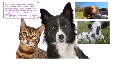 Ethical Animal and House Sitting Ethical Animal and House Sitting
