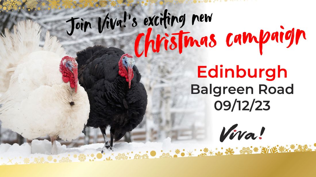 Viva! Christmas Outreach - Edinburgh