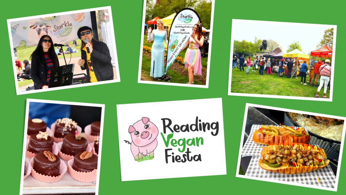 Reading Vegan Fiesta My Vegan Town My Vegan Town