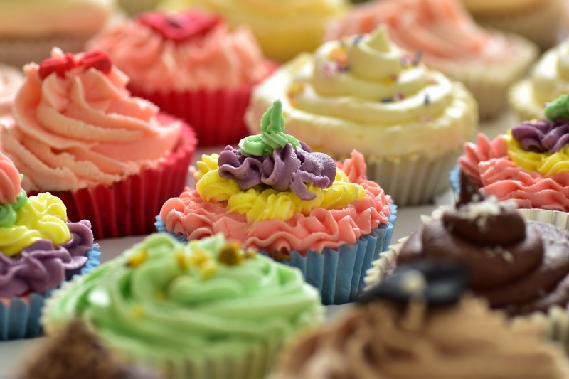 Nottinghamshire Vegan Festival 